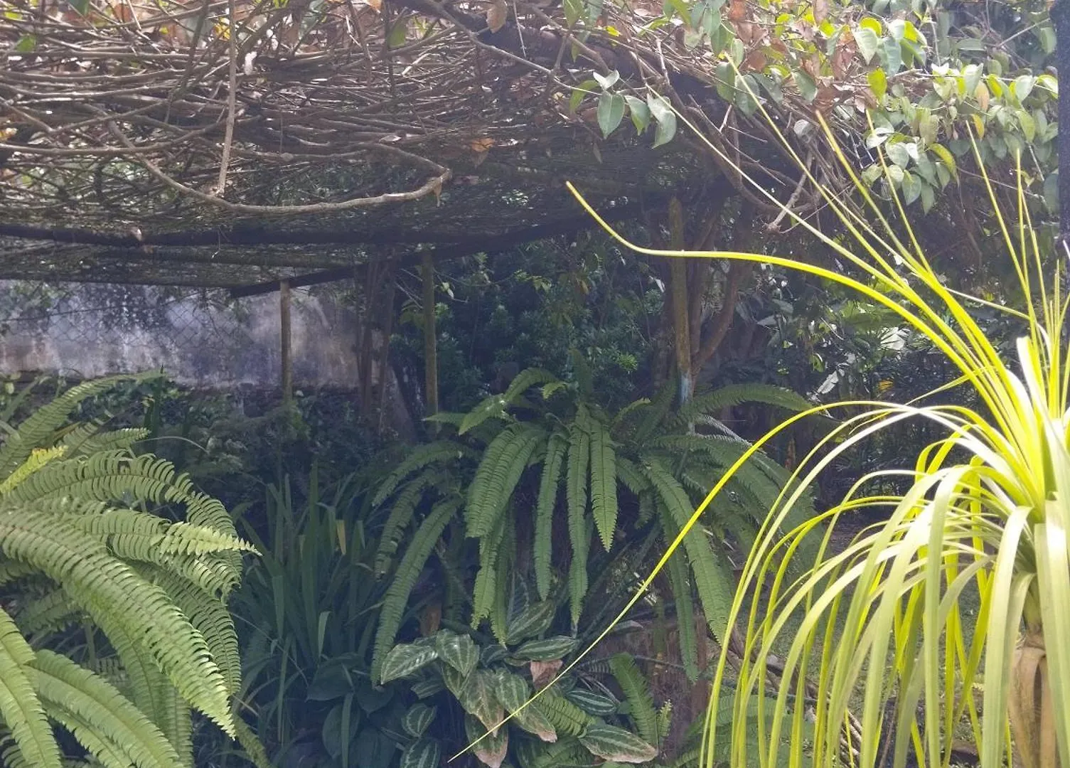 Lamp Colonial Bungalow Airport Katunayake